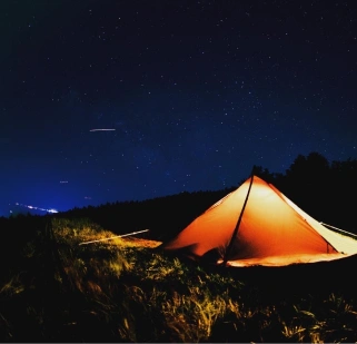 満天の星空と木の陰の景色